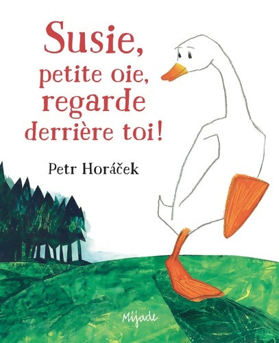 Livrenpoche : SUSIE REGARDE derrière TOI - PETER HORACEK - Livre