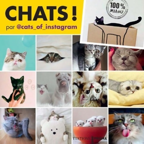 Livrenpoche : Chats d'Instagram - Collectif - Livre