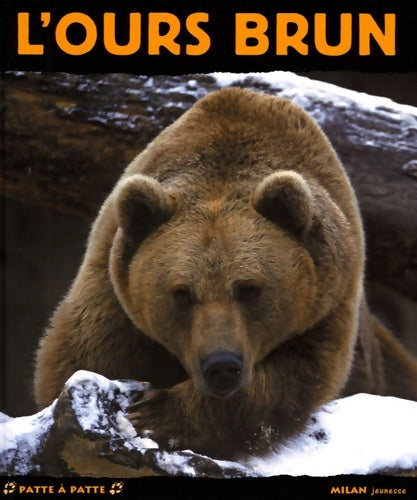 Livrenpoche : L'ours brun - Valérie Tracqui - Livre