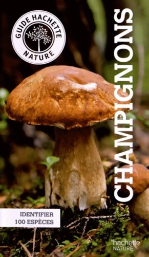 Livrenpoche : Le petit guide Hachette des champignons - Angelika Lang - Livre