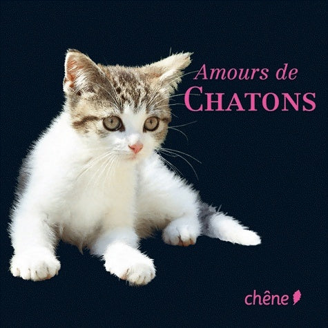 Livrenpoche : Amours de chatons - Brigitte Bulard-Cordeau - Livre
