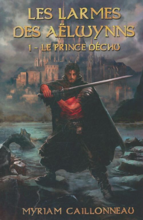 Livrenpoche : Les larmes des Aëlwynns Tome I : Le prince déchu - Myriam Caillonneau - Livre