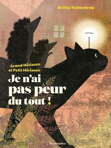Livrenpoche : Je n'ai pas peur du tout ! - Britta Teckentrup - Livre
