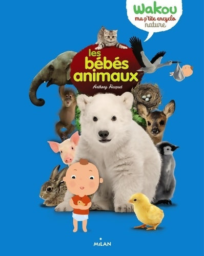 Livrenpoche : Les bébés animaux - Aude Espagno - Livre