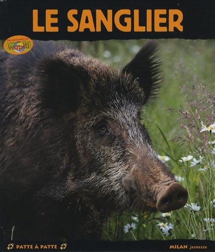 Livrenpoche : Le sanglier - Stéphanie Ledu - Livre