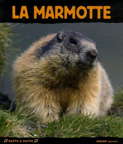 Livrenpoche : La marmotte - Dominique Simon - Livre