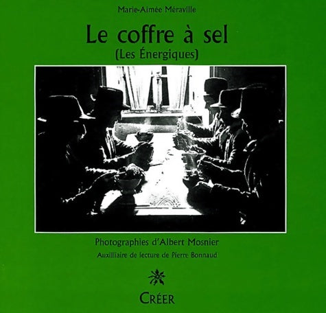 Livrenpoche : Le coffre à sel - Marie-Aimée Méraville - Livre