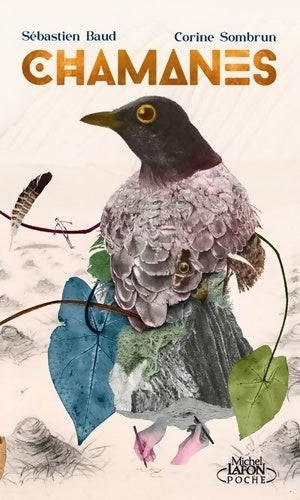 Livrenpoche : Chamanes - Voyage au coeur de la nature - Sébastien Baud - Livre