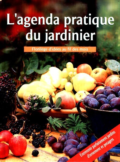 Pory roku w ogrodzie : Praktyczne rady i dobre pomysly na caly rok - Collectif - Livre
