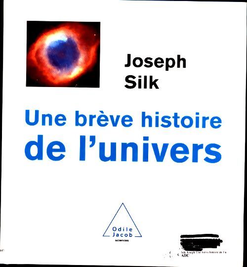 Livrenpoche : Une brève histoire de l'univers - Joseph Silk - Livre