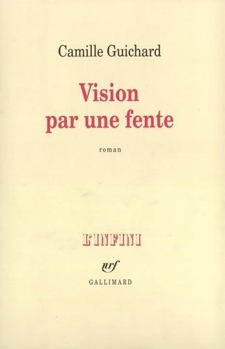 Livrenpoche : Vision par une fente - Camille Guichard - Livre