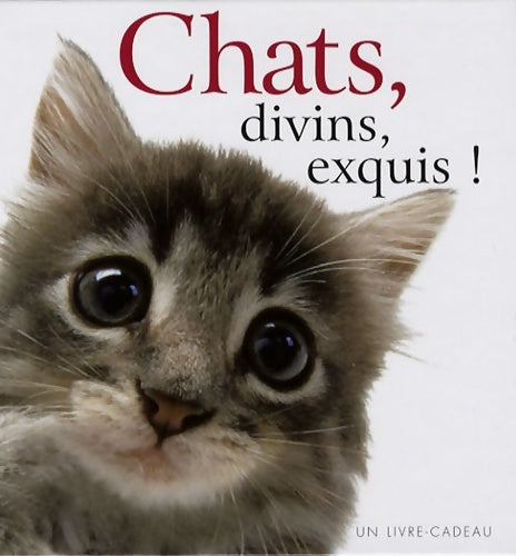 Livrenpoche : chats divins exquis ! - Exley Helen - Livre