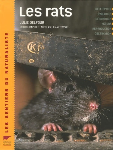 Livrenpoche : Les rats - Julie Delfour - Livre