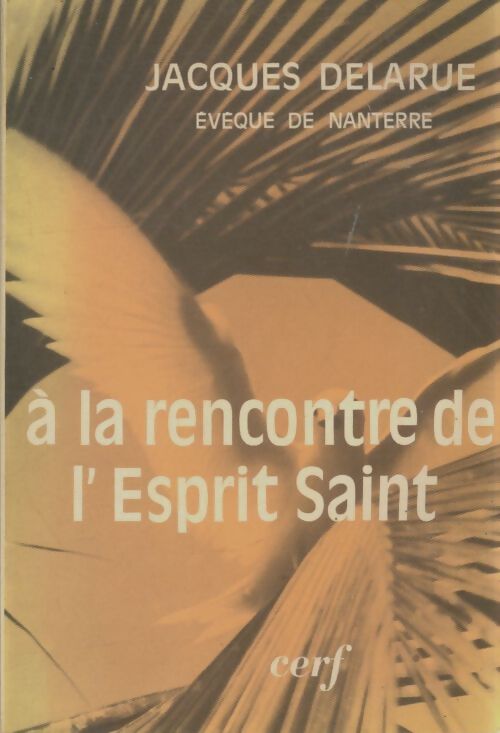 Livrenpoche : À la rencontre de l'esprit saint - Jacques Delarue - Livre