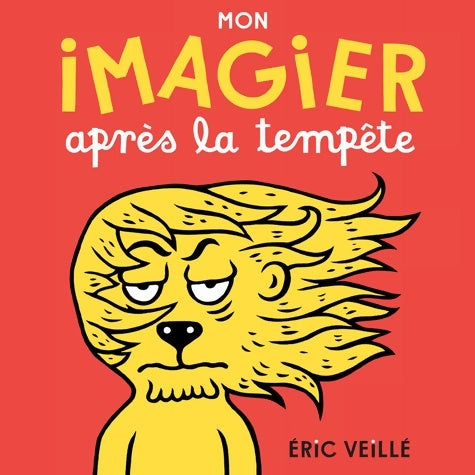 Livrenpoche : Mon imagier après la tempête - Eric Veillé - Livre