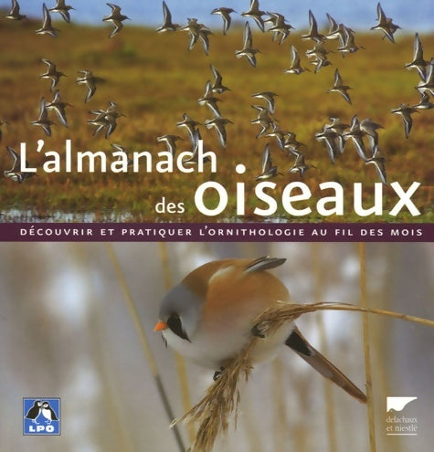 Livrenpoche : L'almanach des oiseaux - Guilhem Lesaffre - Livre
