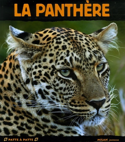 Livrenpoche : La panthère - Michel Denis-Huot - Livre