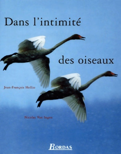 Livrenpoche : Dans l'intimité des oiseaux - Nicolas Van Ingen - Livre