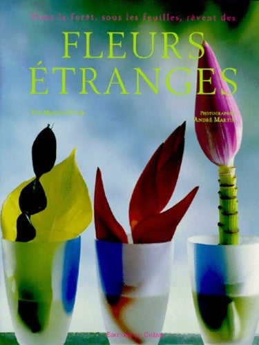 Livrenpoche : Dans la forêt sous les feuilles rêvent des fleurs étranges - Marion Faver - Livre