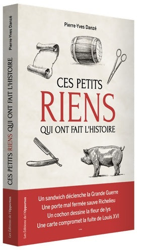 Livrenpoche : Ces petits riens qui ont fait l'histoire - Pierre-Yves Danze - Livre