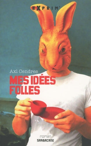 Livrenpoche : Mes idées folles - Axl Cendres - Livre