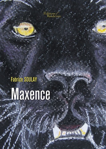 Livrenpoche : Maxence - Fabrice Soulay - Livre