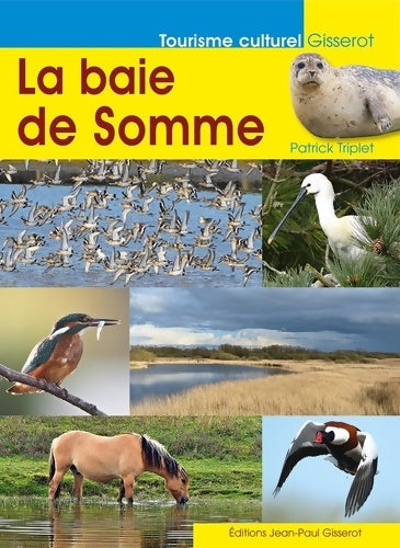 Livrenpoche : La Baie de Somme - Patrick Triplet - Livre