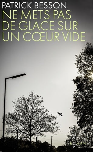 Livrenpoche : Ne mets pas de glace sur un coeur vide - Patrick Besson - Livre