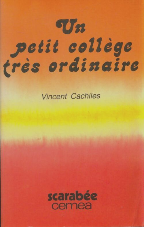 Livrenpoche : Un petit collège très ordinaire - Vincent Cachiles - Livre