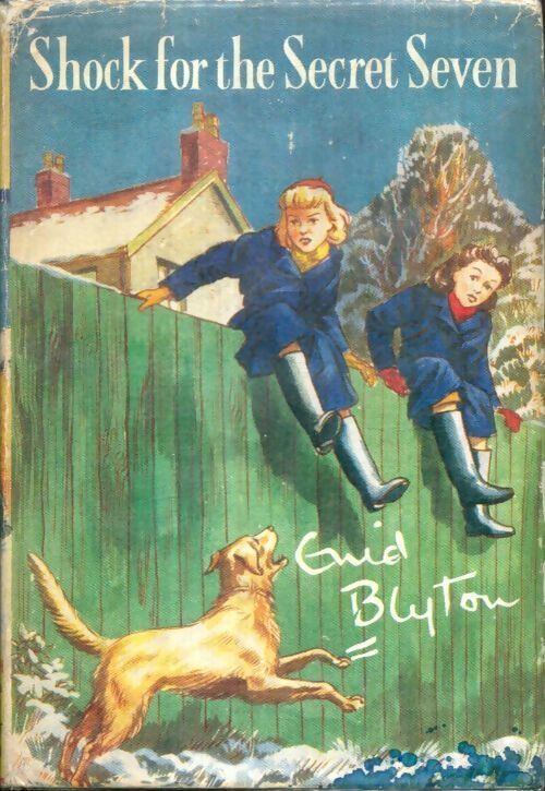 Livrenpoche : Shock for the secret seven - Enid Blyton - Livre