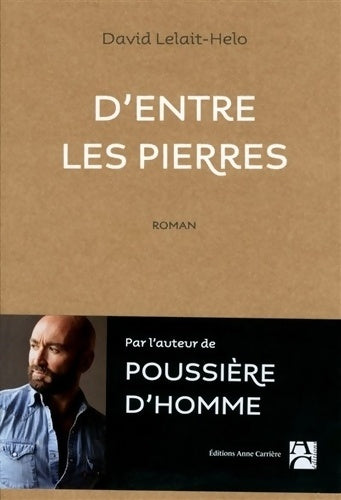 Livrenpoche : D'entre les pierres - David Lelait-Helo - Livre