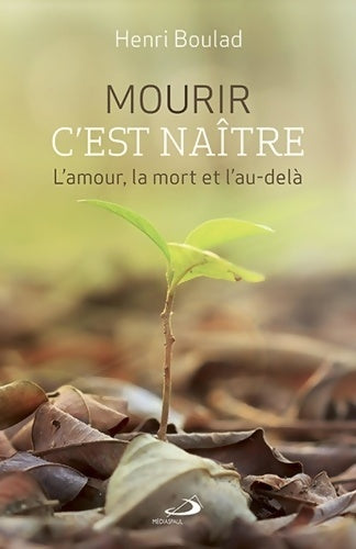Livrenpoche : MOURIR C'EST NAITRE. L'AMOUR LA MORT ET L'AU-DELÀ - Henri Boulad - Livre