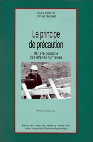 Livrenpoche : Le principe de précaution dans la conduite des affaires humaines - GODARD OLIVIER - Livre