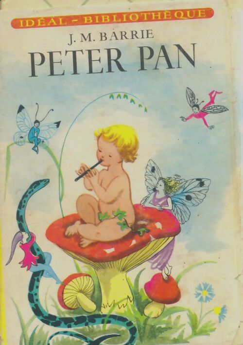 Livrenpoche : Peter Pan - James Matthew Barrie - Livre