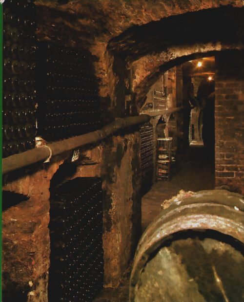 Livrenpoche : Les vins de France et d'ailleurs - André Schelling - Livre