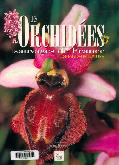 Livrenpoche : Les orchydées sauvages de France : Grandeur nature - Rémy Souche - Livre