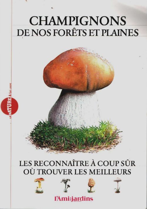 Champignons de nos forêts et plaines - Collectif - Livre