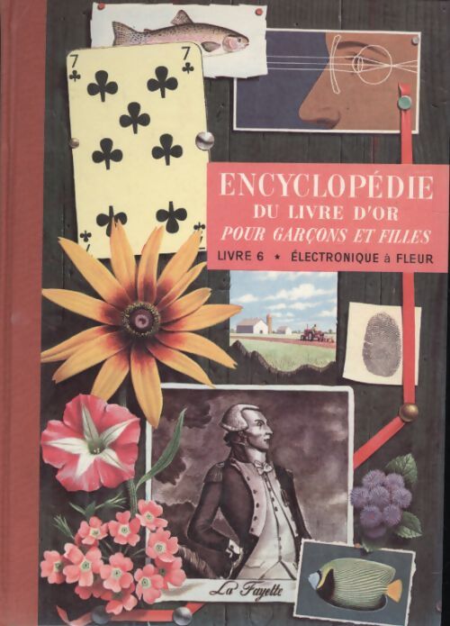 Encylopédie du livre d'or pour garçons et filles Tome VI : Electronique à Fleur - Collectif - Livre