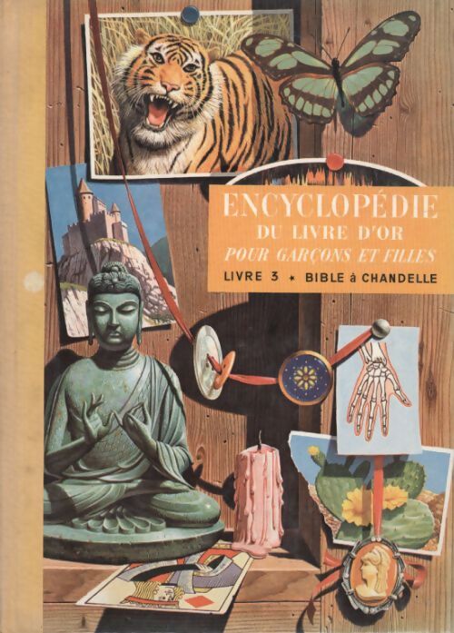 Encylopédie du livre d'or pour garçons et filles Tome III - Collectif - Livre