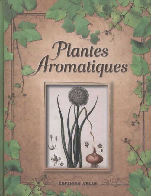 Plantes aromatiques - Nathalie Bucsek - Livre