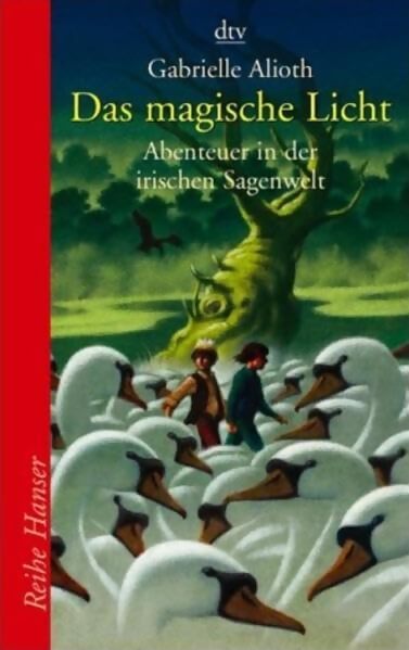 Das magische licht - Alioth Gabrielle - Livre
