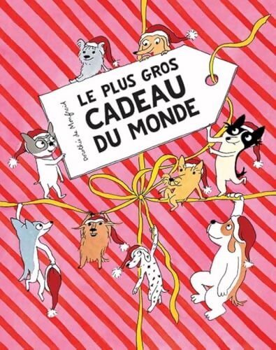 Le plus gros cadeau du monde - Dorothée De Monfreid - Livre