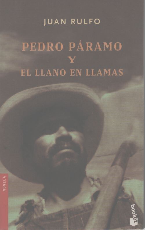 Pedro paramo y el llano en llamas - Juan Rulfo - Livre
