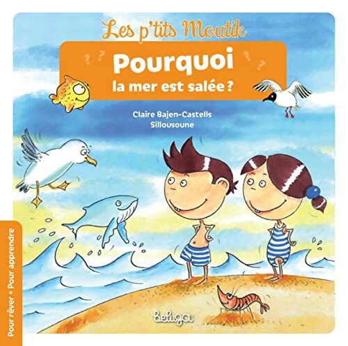 Pourquoi la mer est salée ? - Claire Bajen-Castells - Livre