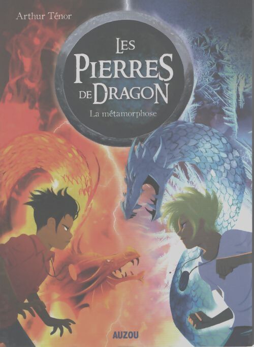 Les pierres de dragon tome 1 - la métamorphose - Christian Escaffre - Livre