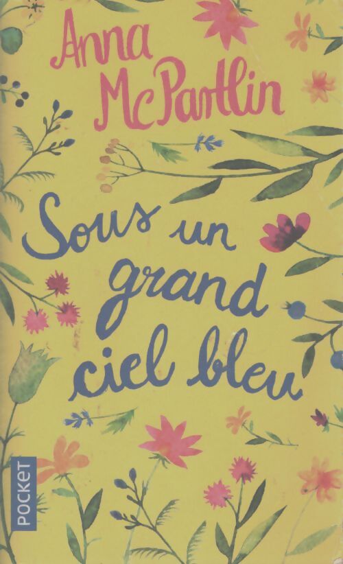 Sous un grand ciel bleu - Anna McPartlin - Livre