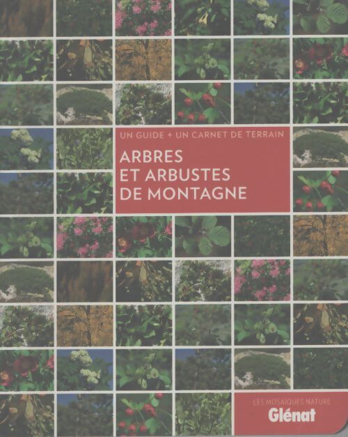 Arbres et arbustes de montagne - Sandrine Stefaniak - Livre