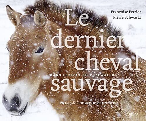 Le dernier cheval sauvage : Dans les pas du przewalski - Pierre Schwartz - Livre
