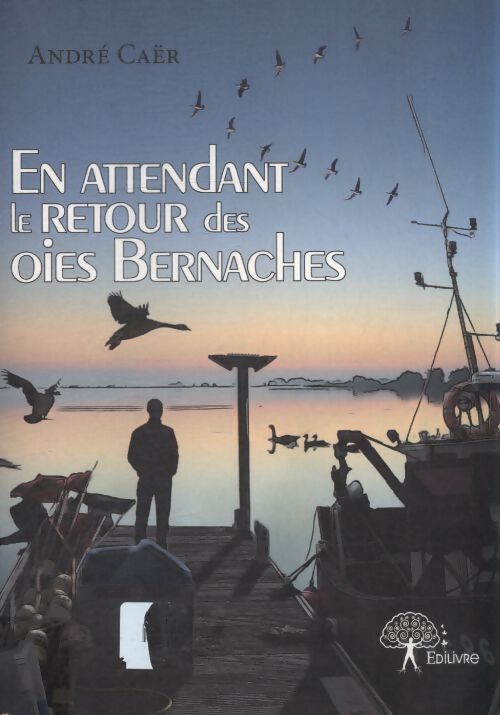En attendant le retour des oies bernaches - André Caër - Livre