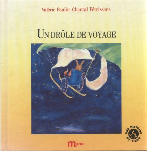 Un drôle de voyage - Valérie Paulin - Livre